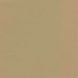 Enduratex Vaquero Chaparral 1008 Upholstery Fabric