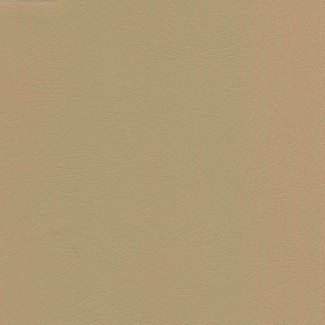 Enduratex Vaquero Chaparral 1008 Upholstery Fabric