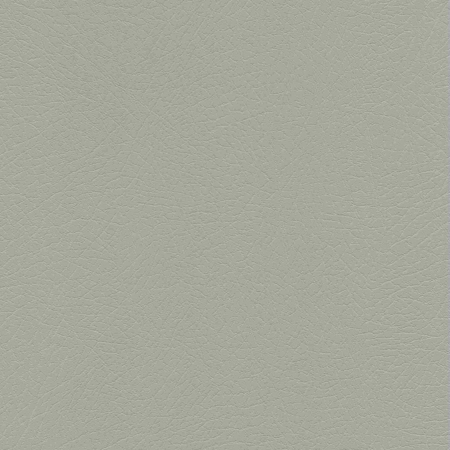 Enduratex Vaquero Concha 1012 Upholstery Fabric