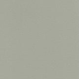 Enduratex Vaquero Concha 1012 Upholstery Fabric