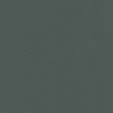 Enduratex Vaquero Hematite 1020 Upholstery Fabric