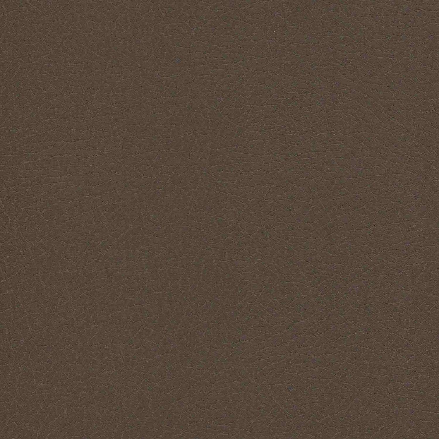 Enduratex Vaquero Jasper 1024 Upholstery Fabric