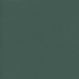 Enduratex Vaquero Mesquite 1032 Upholstery Fabric