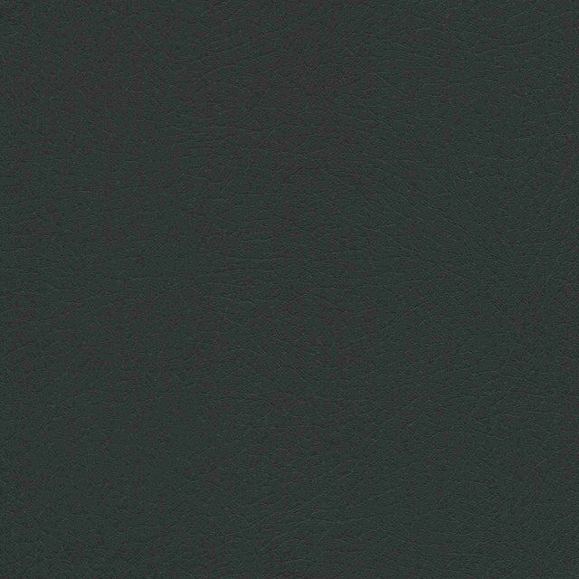 Enduratex Vaquero Night Rider 1036 Upholstery Fabric