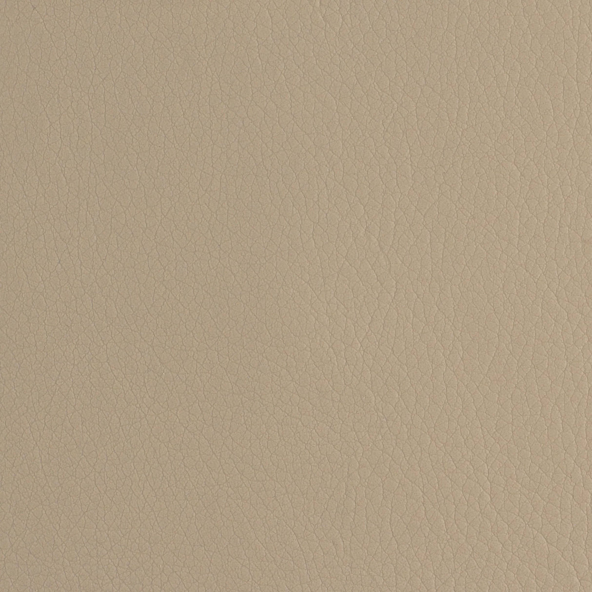 Sample of Envision Mushroom 19 Upholstery Fabric