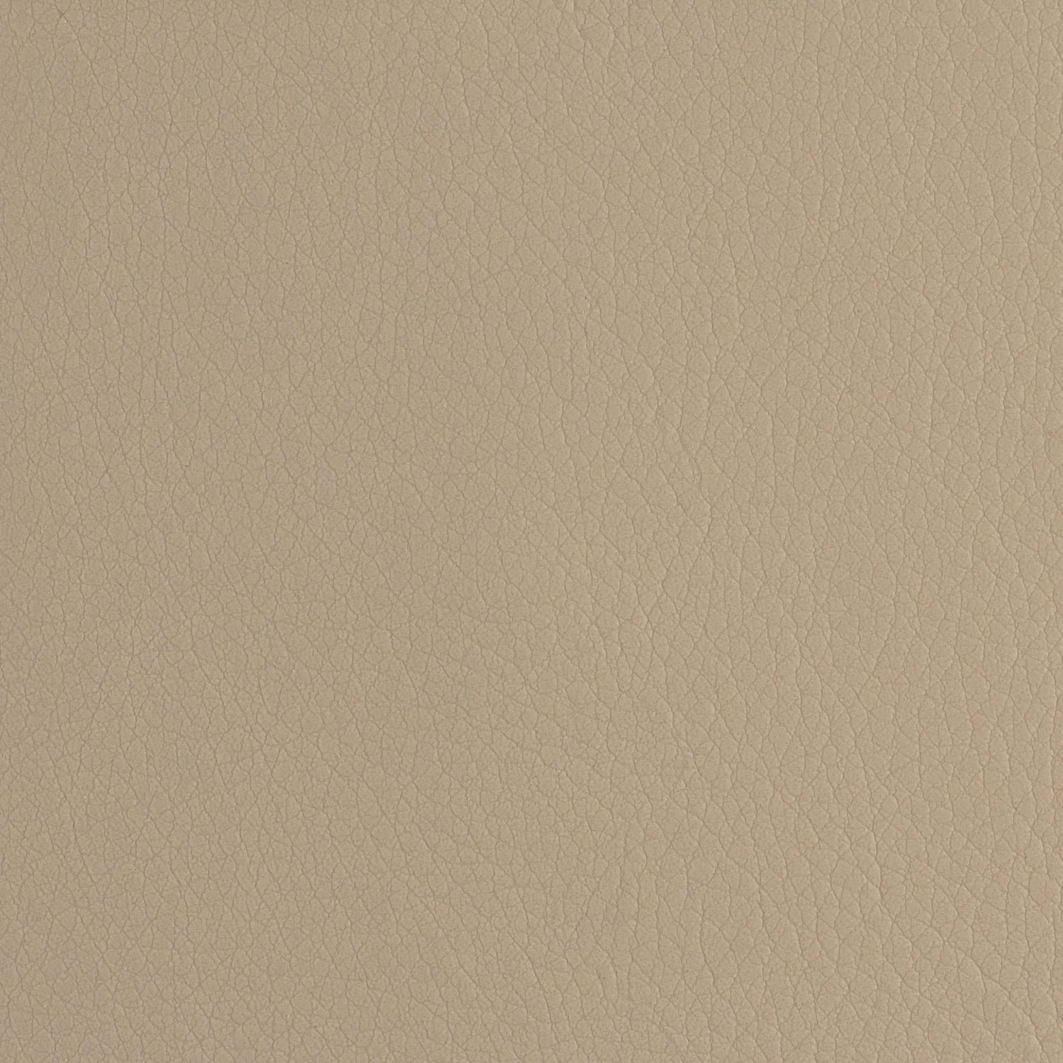 Sample of Envision Mushroom 19 Upholstery Fabric