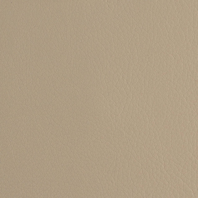 Sample of Envision Mushroom 19 Upholstery Fabric
