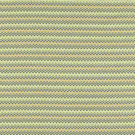 Clarke and Clarke Klaudia F1668-02 Alfresco Collection Upholstery Fabric