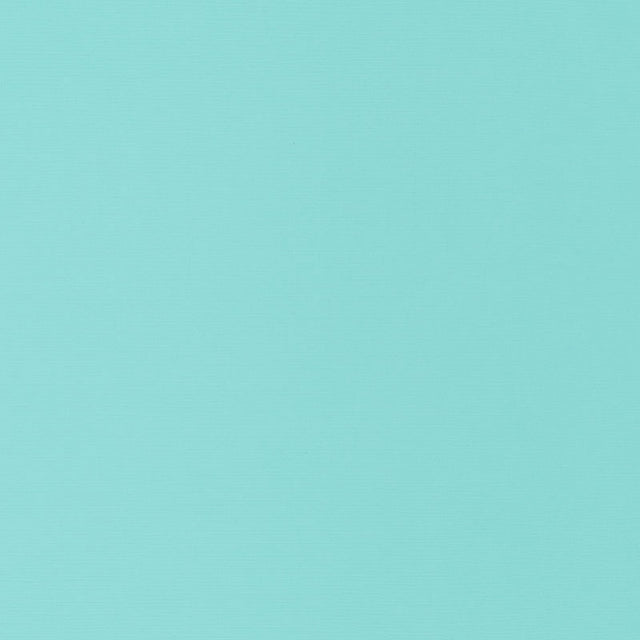 Schumacher Santa Margherita Aqua 70954 Riviera Collection Upholstery Fabric