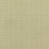 GP And J Baker Merrin Green BP10889-4 Chifu Collection Multipurpose Fabric
