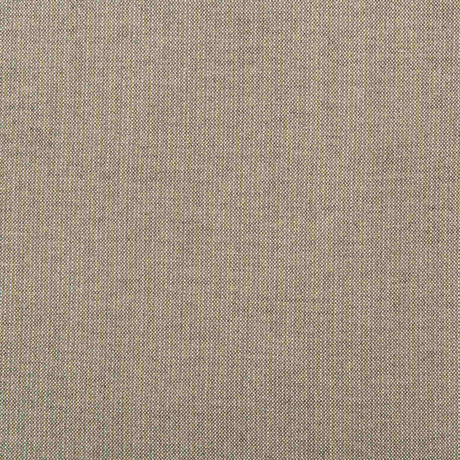 Kravet Basics 36820-106 Indoor/Outdoor Collection Upholstery Fabric