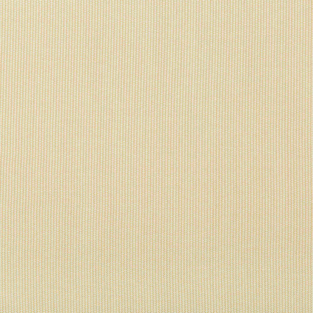 Kravet Basics 36820-16 Indoor/Outdoor Collection Upholstery Fabric