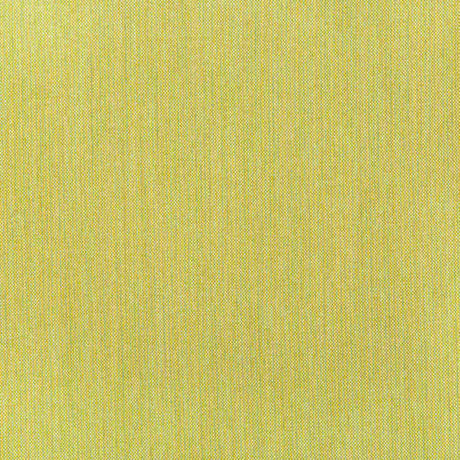 Kravet Basics 36820-23 Indoor/Outdoor Collection Upholstery Fabric