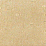 Kravet Basics 36829-16 Indoor/Outdoor Collection Upholstery Fabric