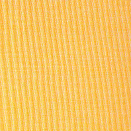Kravet Basics 36843-40 Indoor/Outdoor Collection Upholstery Fabric