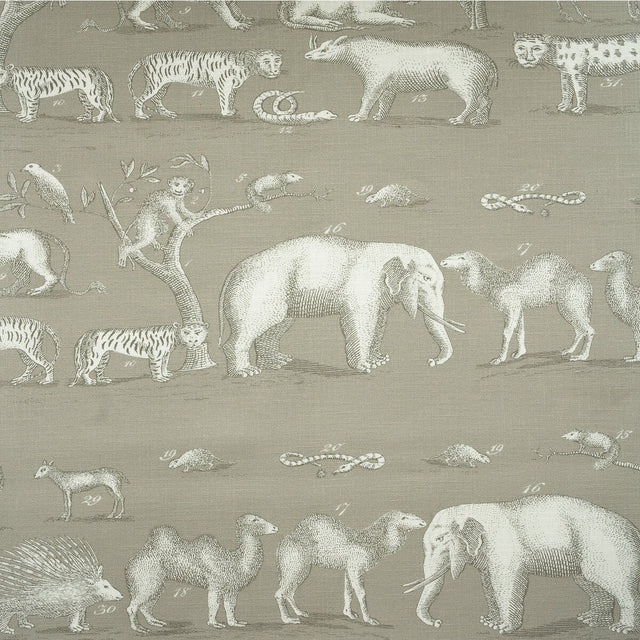 Kravet Couture Kingdom Outdoor Cloud Am100350-11 The Great Outdoors Collection by Andrew Martin Upholstery Fabric