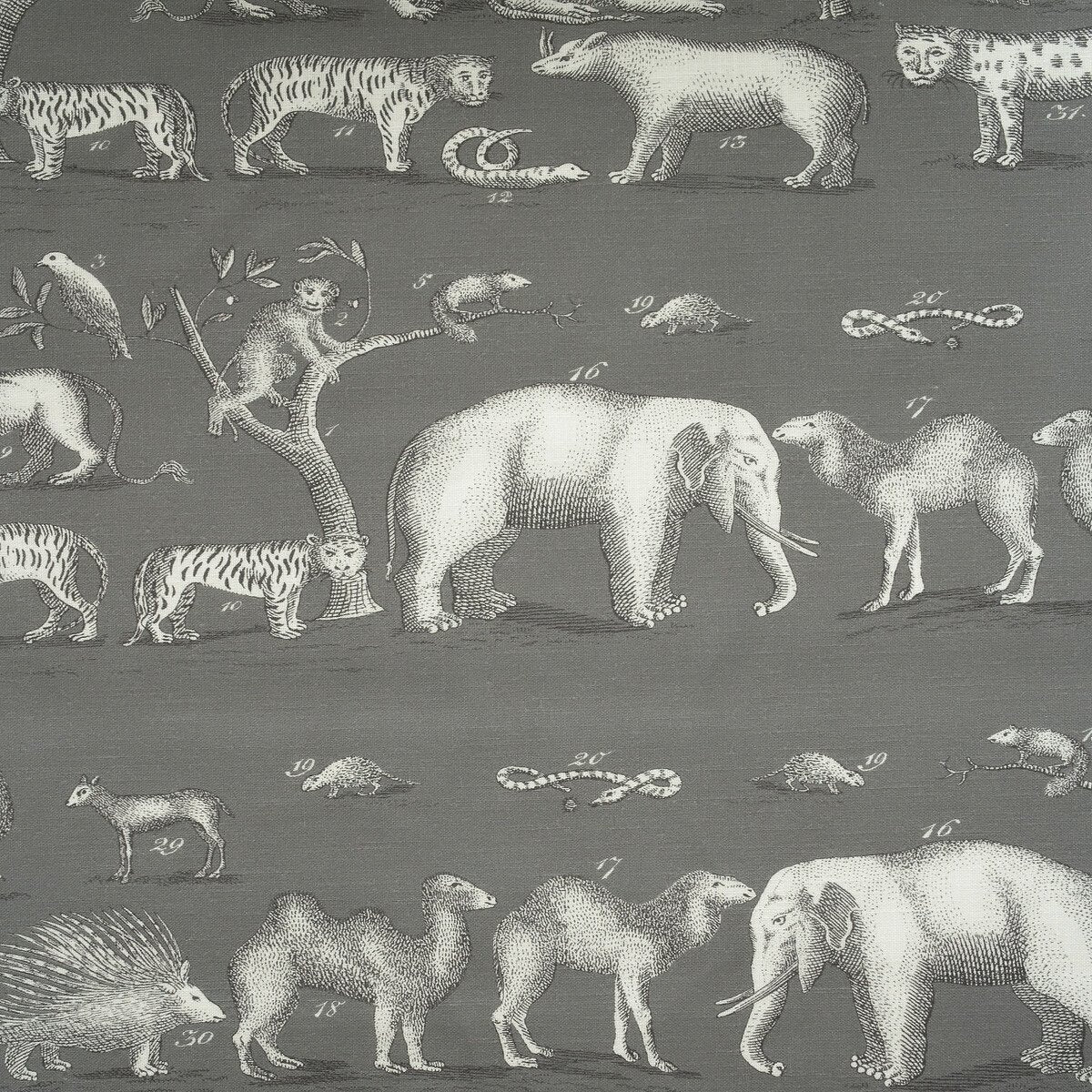 Kravet Couture Kingdom Outdoor Rock Am100350-21 The Great Outdoors Collection by Andrew Martin Upholstery Fabric