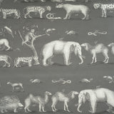 Kravet Couture Kingdom Outdoor Rock Am100350-21 The Great Outdoors Collection by Andrew Martin Upholstery Fabric