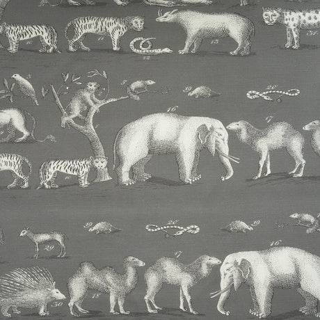 Kravet Couture Kingdom Outdoor Rock Am100350-21 The Great Outdoors Collection by Andrew Martin Upholstery Fabric