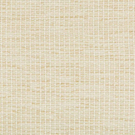 Kravet Design 35123-116 Performance Crypton Home Collection Indoor Upholstery Fabric