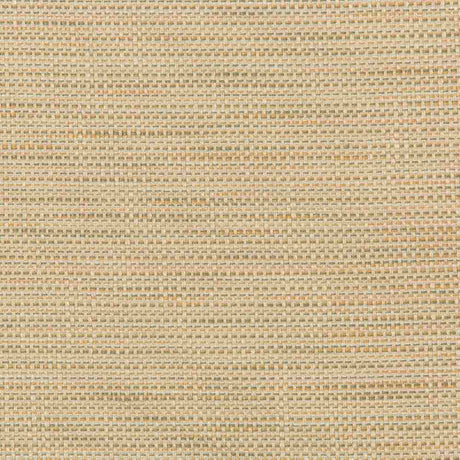 Kravet Design 36082-106 Inside Out Performance Fabrics Collection Upholstery Fabric
