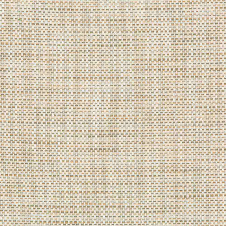 Kravet Design 36082-161 Inside Out Performance Fabrics Collection Upholstery Fabric
