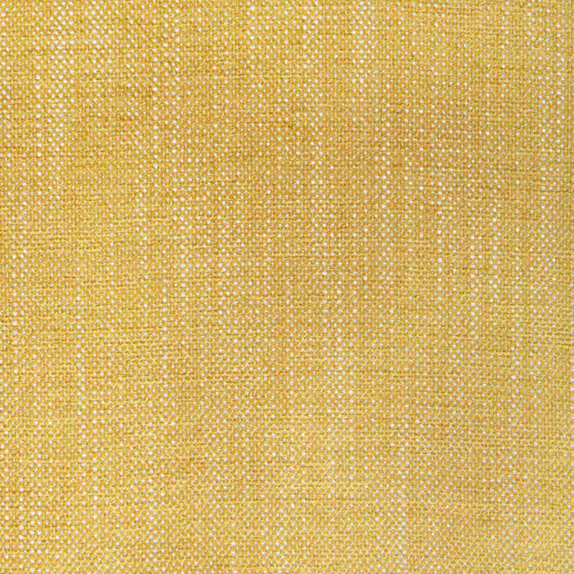 Kravet Design 36408-40 Performance Crypton Home Collection Indoor Upholstery Fabric