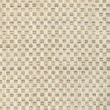 Kravet Design 36410-161 Performance Crypton Home Collection Indoor Upholstery Fabric