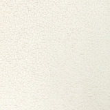 Kravet Design 36421-1001 Performance Crypton Home Collection Indoor Upholstery Fabric