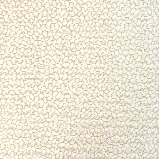 Kravet Design 36421-161 Performance Crypton Home Collection Indoor Upholstery Fabric