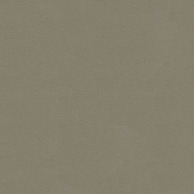 Kravet Design Ali Grey 11 Ultraleather Plus IV Collection Upholstery Fabric