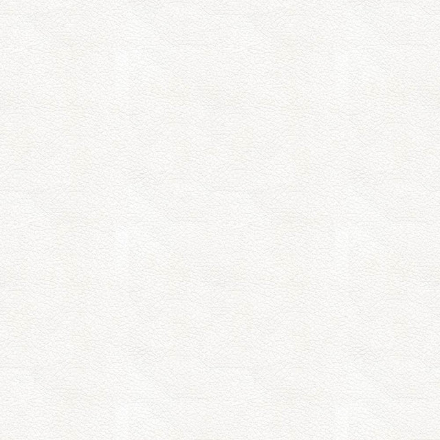 Kravet Design Ali White 101 Ultraleather Plus IV Collection Upholstery Fabric