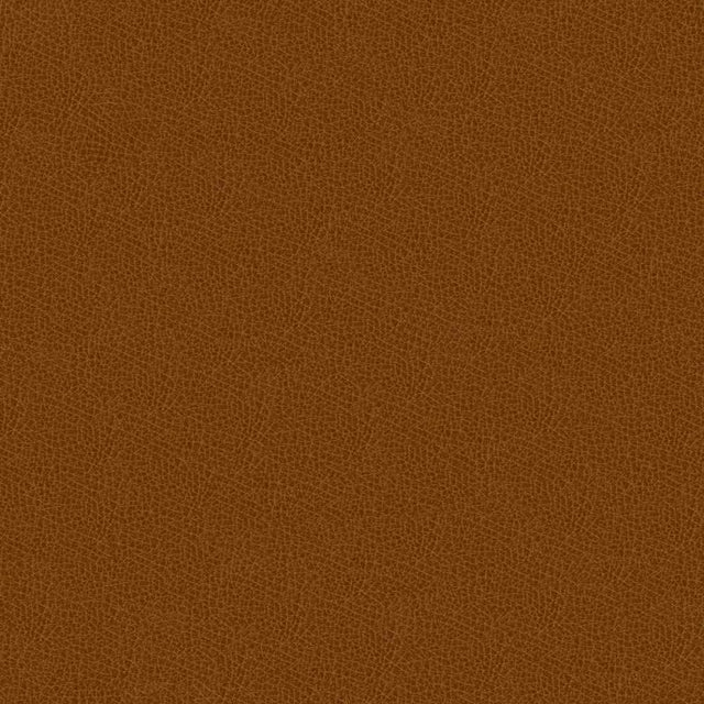 Kravet Design Grana Brown 616 Ultraleather Plus Upholstery Fabric