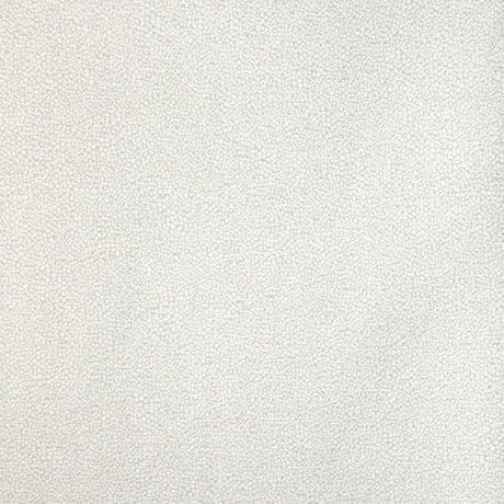 Kravet Design Mulford Salt 37052-111 Latitude Collection by Thom Filicia Upholstery Fabric