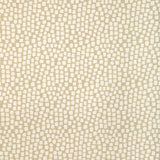 Kravet Design Step Above Chablis 37062-16 Latitude Collection by Thom Filicia Upholstery Fabric