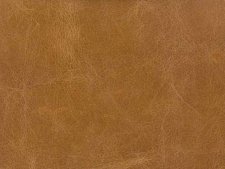 Kravet L-Haute Camel Indoor Upholstery Fabric