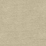 Kravet Smart 33831-1611 Crypton Home Collection Indoor Upholstery Fabric