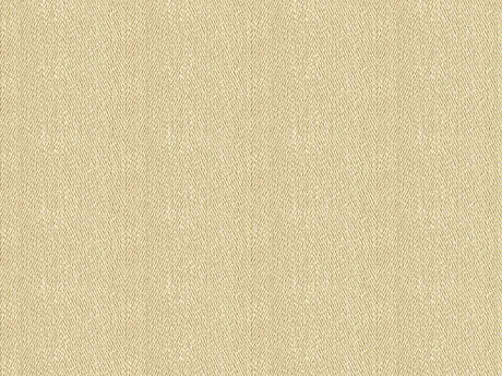 Kravet Smart 33832-1116 Crypton Home Collection Indoor Upholstery Fabric
