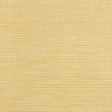 Kravet Smart 34627-416 Crypton Home Collection Indoor Upholstery Fabric