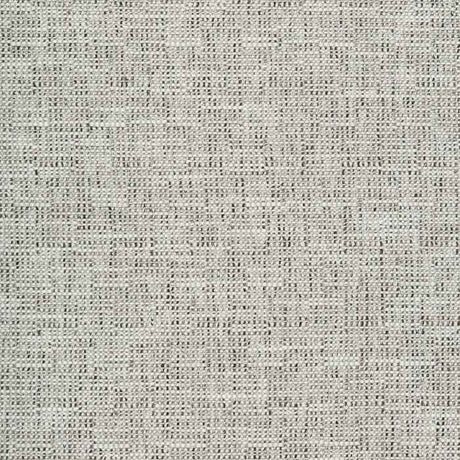 Kravet Smart 35518-121 Inside Out Performance Fabrics Collection Upholstery Fabric