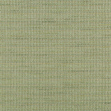 Kravet Smart  35963-314 Performance Crypton Home Collection Indoor Upholstery Fabric