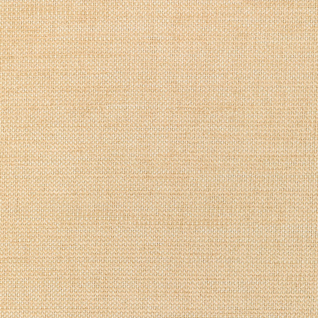 Kravet Smart 36302-116 Performance Crypton Home Collection Indoor Upholstery Fabric