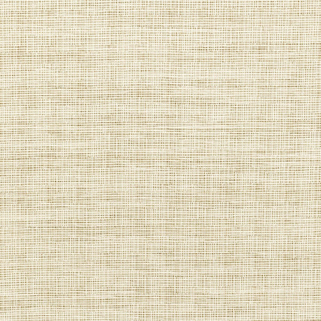 Kravet Smart  36303-1 Performance Crypton Home Collection Indoor Upholstery Fabric