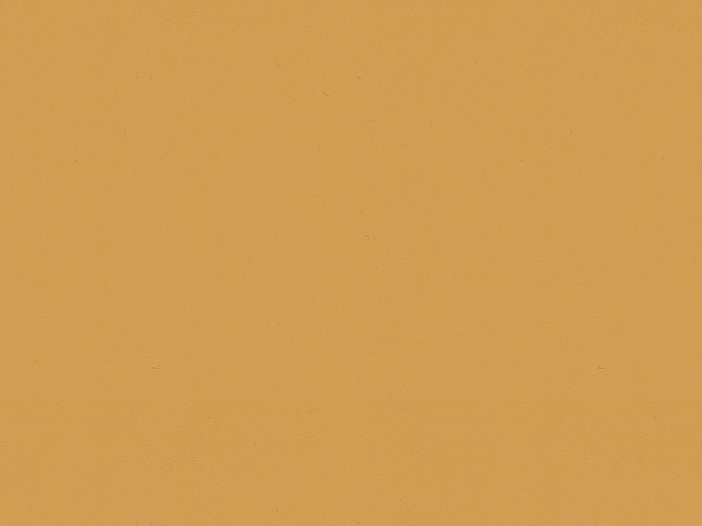 Kravet Sol Canvas 16 Upholstery Fabric