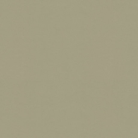 Kravet Sol Nickel 11 Upholstery Fabric