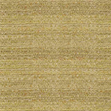 Kravet Sunbrella 34274 - 416 Guaranteed in Stock Upholstery Fabric