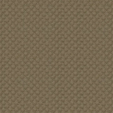 Sample of Kravet Sunbrella Brown 25807 - 106 Guaranteed in Stock Upholstery Fabric