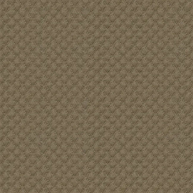 Sample of Kravet Sunbrella Brown 25807 - 106 Guaranteed in Stock Upholstery Fabric