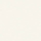 Kravet Sunbrella Soleil Canvas Natural 25703 - 1 Soleil Collection Upholstery Fabric
