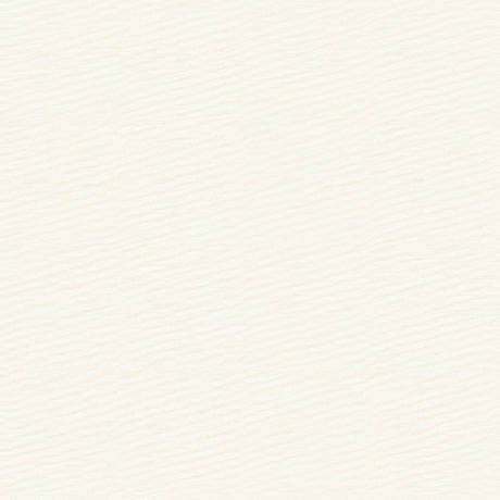 Kravet Sunbrella Soleil Canvas Natural 25703 - 1 Soleil Collection Upholstery Fabric